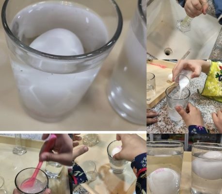 گل‌های نسترن باغ رفاه