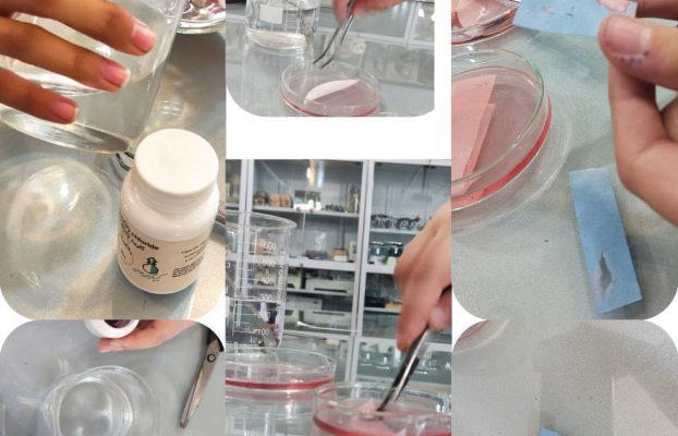 آزمایشگاه دهم ریاضی و تجربی