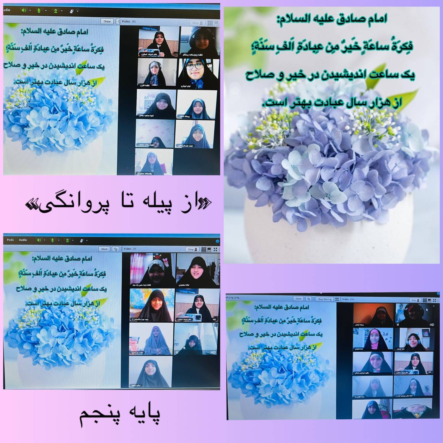 از پیله تا پروانگی